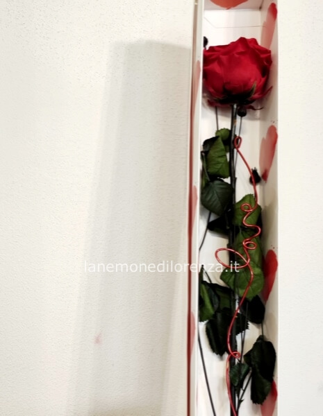 ROSA STABILIZZATA A STELO LUNGO