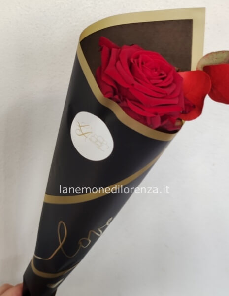 ROSA RED NAOMI SINGOLA