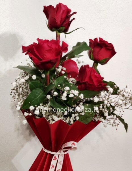 MAZZO 5 ROSE CON GYPSOPHILA