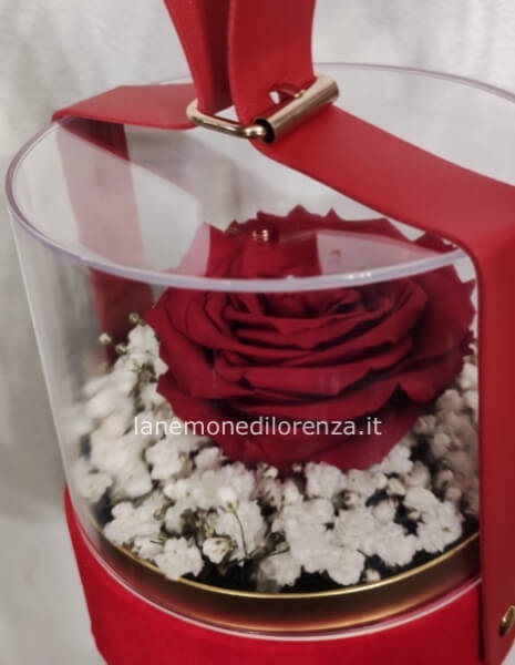 BOX CON ROSA E GYPSOPHILA